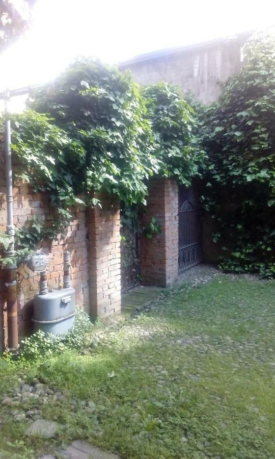 Central Apartment With Garden Milano Eksteriør bilde